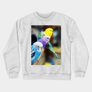 Parakeets Photo Crewneck Sweatshirt